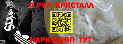 гашик Кингисепп