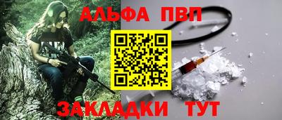 гашик Кингисепп