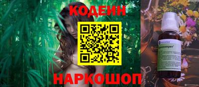 гашик Кингисепп