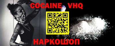 гашик Кингисепп