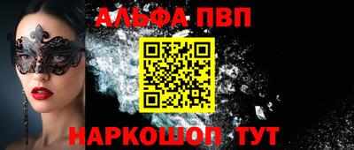 гашик Кингисепп