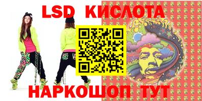 гашик Кингисепп