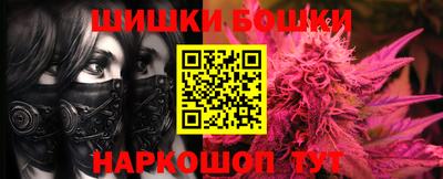 гашик Кингисепп