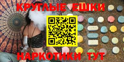 гашик Кингисепп