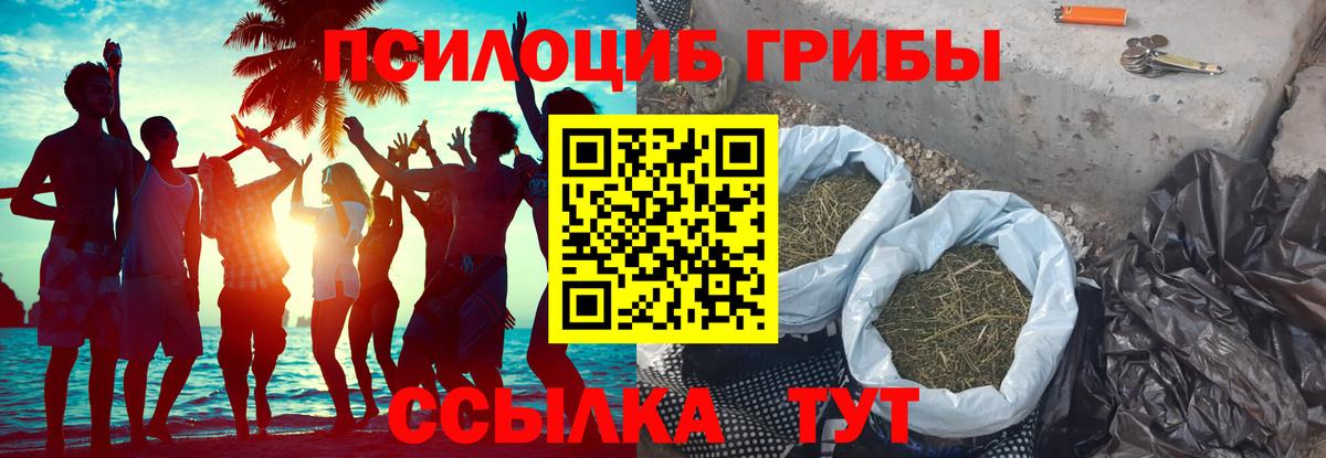 Псилоцибиновые грибы GOLDEN TEACHER  Вход с VPN  Курчатов 
